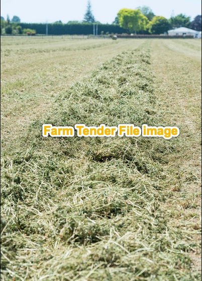 120 mt   Clover/Rye Hay