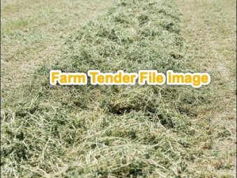 120 mt   Clover/Rye Hay