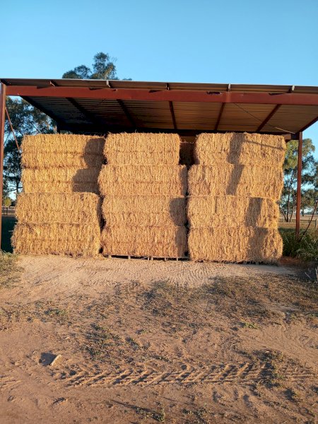 90MT Lucerne Hay 8X4X3 Large Square Bales
