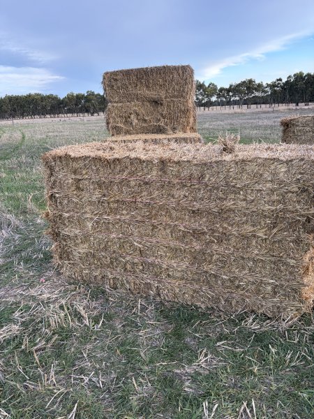 60mt Wheaten Hay 600kg 8x4x3 Bales