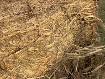 60mt Wheaten Hay 600kg 8x4x3 Bales