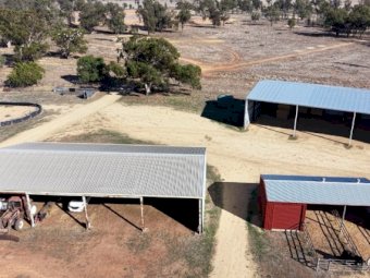 Blue Ribbon Mixed Farming Country Narromine NSW