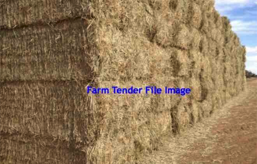 300MT Corn Stubble / Straw 8X4X3 Large Square Bales