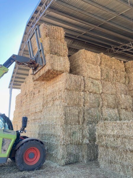 9 X Wheaten Hay 8X4X3 Large Square Bales (NO GST)