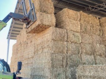 9 X Wheaten Hay 8X4X3 Large Square Bales (NO GST)