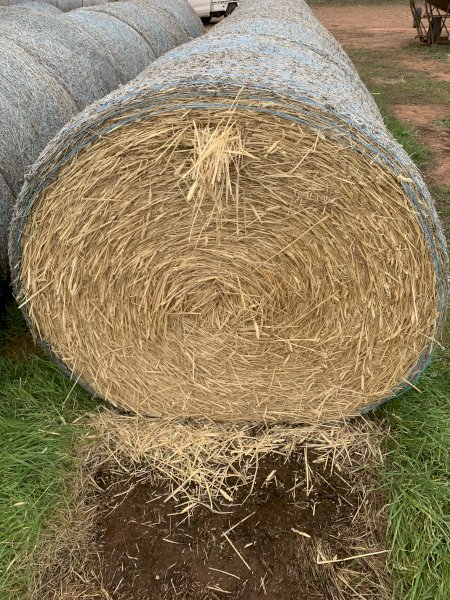 Beardless Wheaten Hay 5x4 Bales