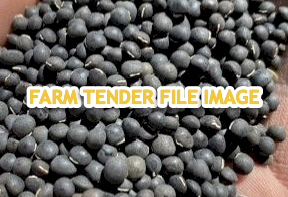 WANTED Benatas Vetch Seed