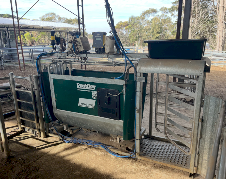 Prattley 3 way Auto Drafter
