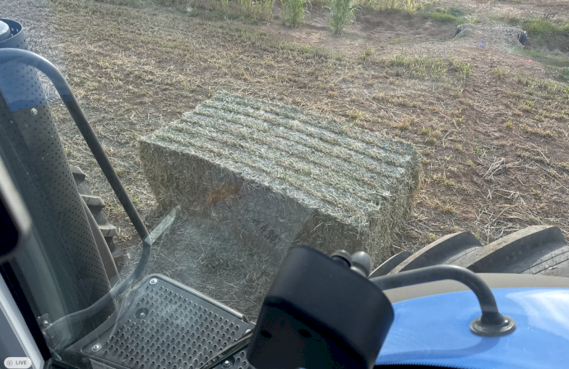 80mt Sorghum Hay 550kg 8x4x3 Bales