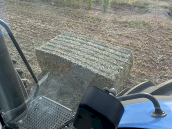 80mt Sorghum Hay 550kg 8x4x3 Bales