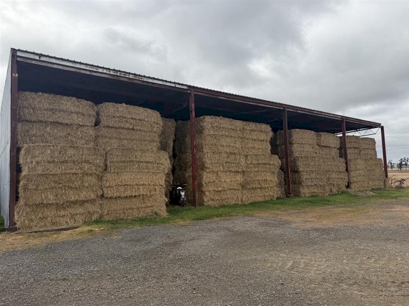 360 m/t Clover and Rye Hay 560kg 8x4x3 Bales