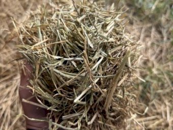 360 m/t Clover and Rye Hay 560kg 8x4x3 Bales