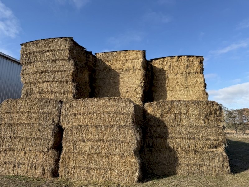200 m/t Clover Rye Hay 540kg 8x4x3 Bales