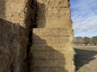 200 m/t Clover Rye Hay 540kg 8x4x3 Bales