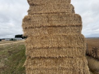900 m/t Ryegrass Straw 510kg 8x4x3 Bales