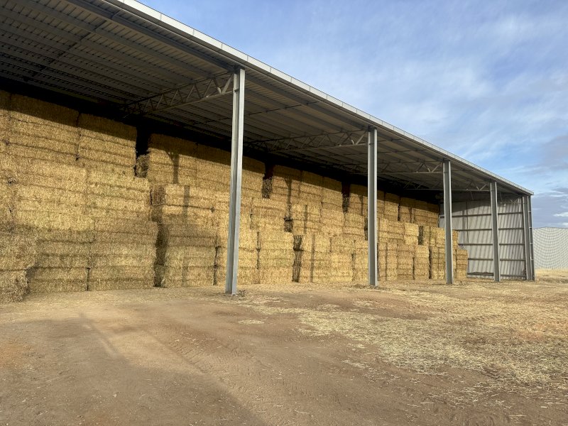 A1 Barley Hay 8x4x3 Bales