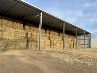 A1 Barley Hay 8x4x3 Bales