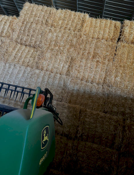 160mt Wheaten Straw 400kg 8x4x3 Bales