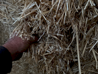 160mt Wheaten Straw 400kg 8x4x3 Bales