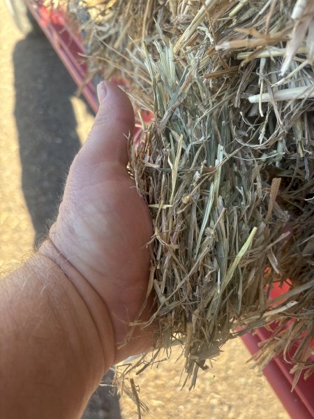 150 mt Oaten Hay 650kg 8x4x3 Bales