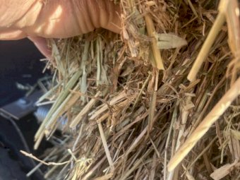 150 mt Oaten Hay 650kg 8x4x3 Bales