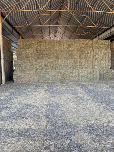 Oaten Rye Hay Small Square Bales in 21 Bale Baron Packs