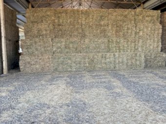 Oaten Rye Hay Small Square Bales in 21 Bale Baron Packs
