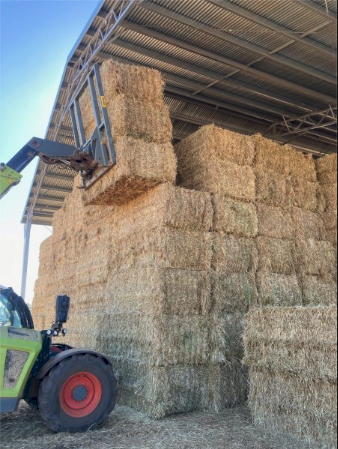 8 X Wheaten Hay 8X4X3 Large Square Bales (NO GST)