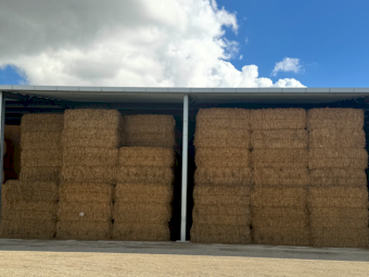 1000mt Oaten Hay 540-560kg 8x4x3 Bales