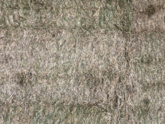 30mt Barley Hay 760kg 8x4x3 Bales