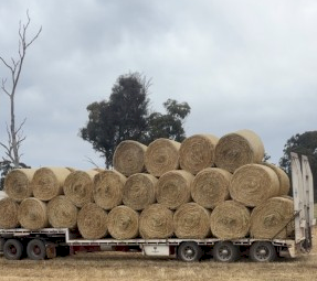 Oaten Hay 5x4 Rolls