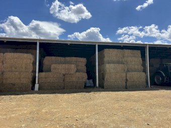 150mt Pasture Hay 500kg 8x4x3 bales