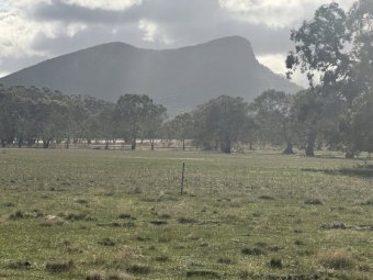 640 acres at Dunkeld VIC for Lease