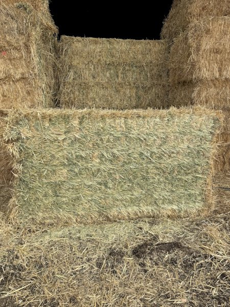 4 x B-Double Loads Oaten Hay 8x4x3 Bales