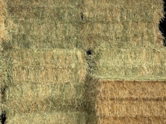 4 x B-Double Loads Oaten Hay 8x4x3 Bales
