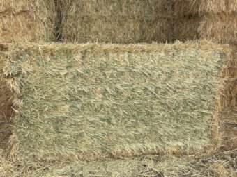 4 x B-Double Loads Oaten Hay 8x4x3 Bales