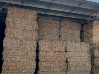 715mt Vetch Hay 650kg 8x4x3 Bales