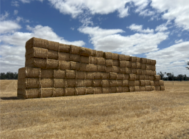 100mt Oaten Hay 8x4x3 Bales