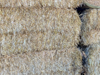 500 x Oaten Straw 500kg 8x4x3 Bales