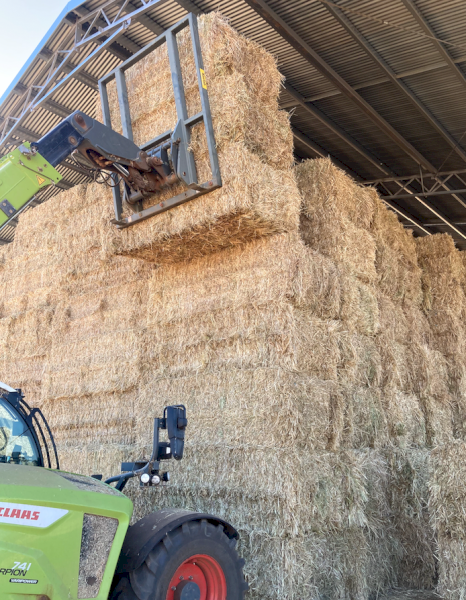 50 x Wheaten Hay 700kg 8x4x3 Bales