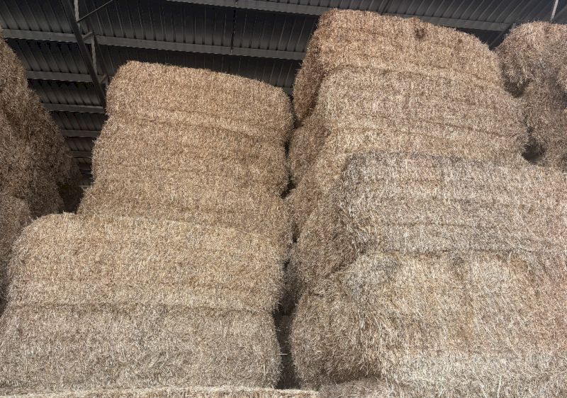 500mt Wheaten Hay 550-600kg 8x4x3 Bales
