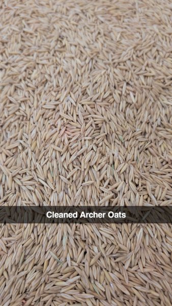 Archer Oats 550kg Bulka Bags x 4