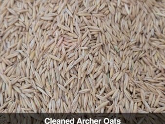 Archer Oats 550kg Bulka Bags x 4