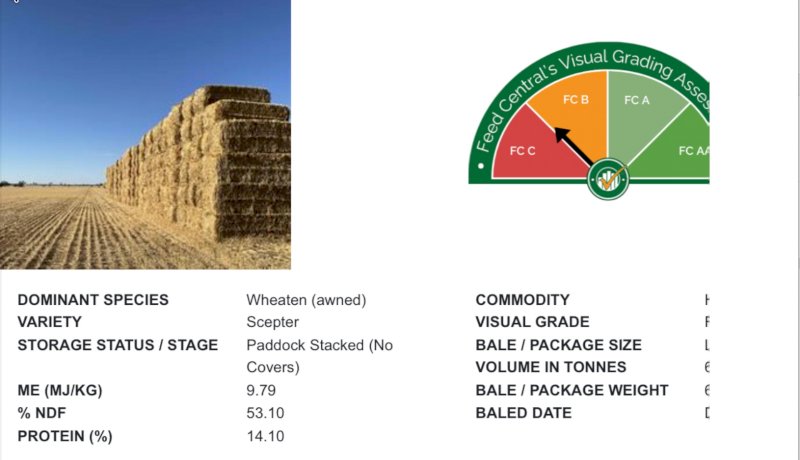 1600mt Awned Wheaten Hay 640kg 8x4x3 Bales