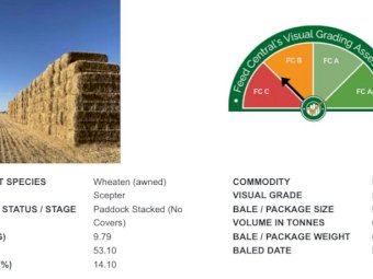 1600mt Awned Wheaten Hay 640kg 8x4x3 Bales