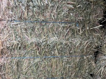 1200 x Oaten Hay Small Square Bales in Baron Packs