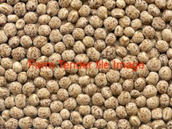 75 mt Mandelup Lupins