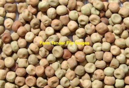 30mt Butler Field Peas