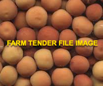 45mt Gunyah Field Peas