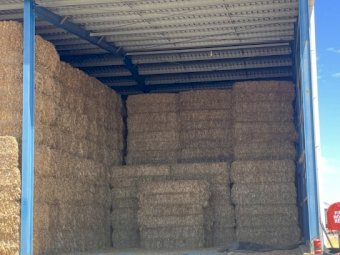 190mt Vetch Hay 630kg 8x4x3 Bales